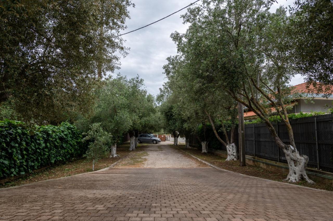 Studio De Bosset Argostoli  Luaran gambar