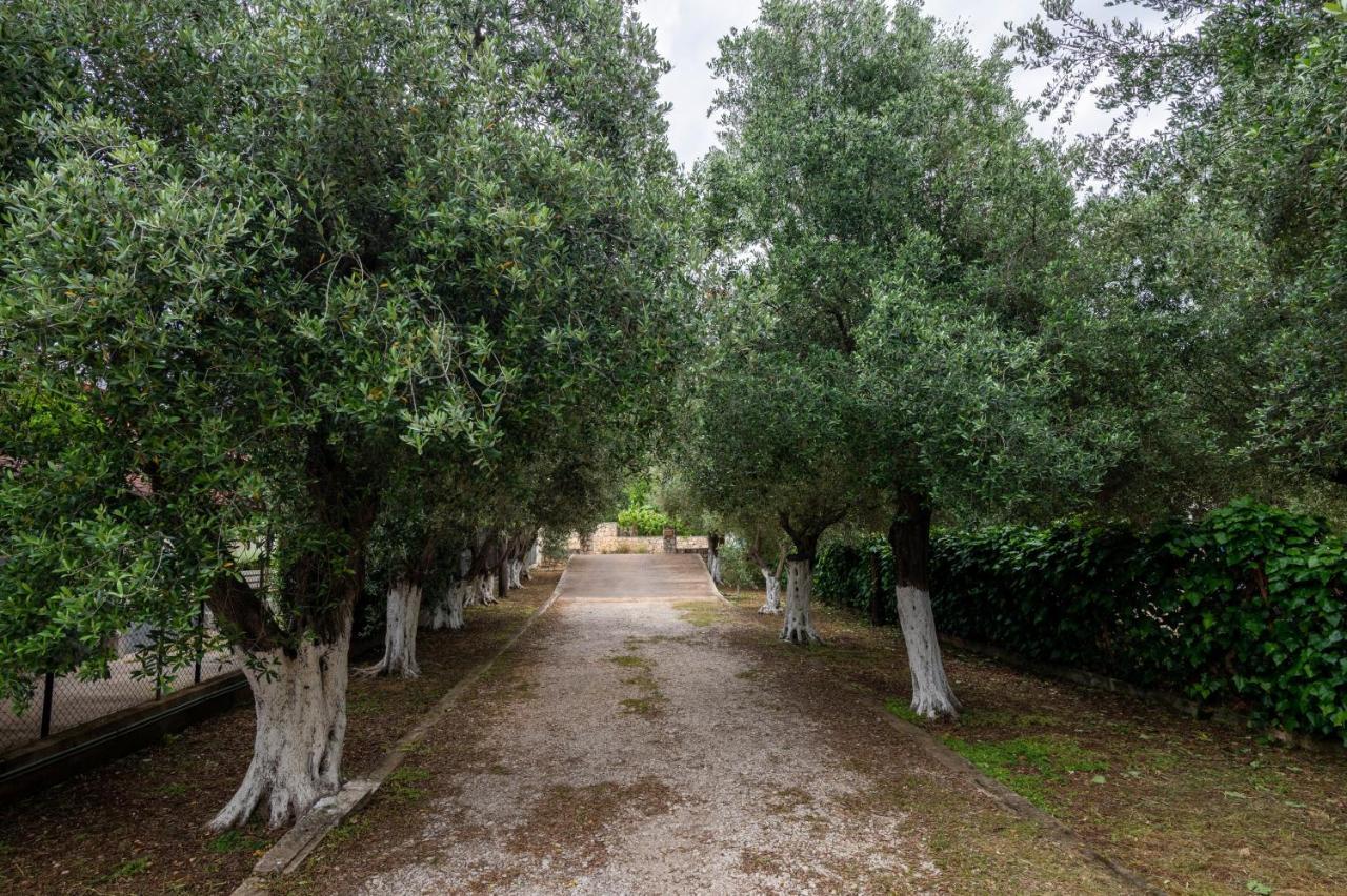 Studio De Bosset Argostoli  Luaran gambar